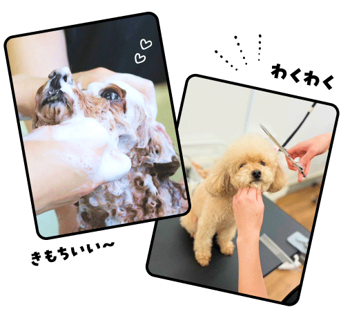 dog salon&hotel mugi 